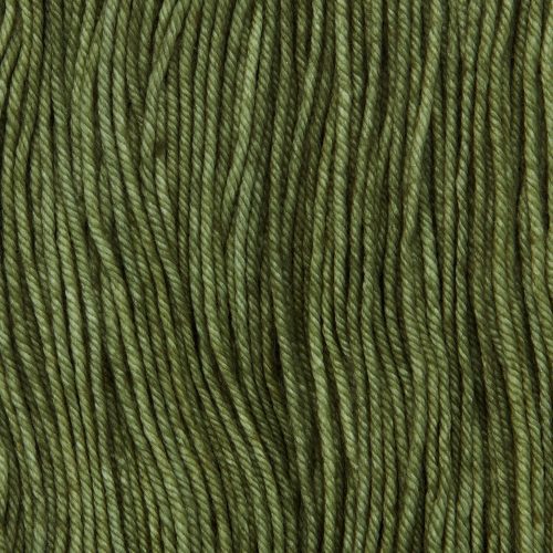 HandDyedMerinoWoolYarnSkein Lichen 03